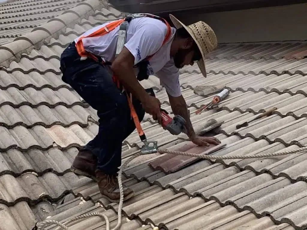 Reliable Roofing Services You Can Trust in Any Season