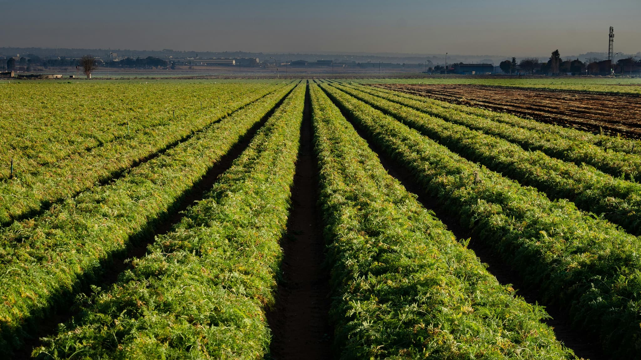 Perfect Wine Pairings to Try at a Winery Sacramento Destination