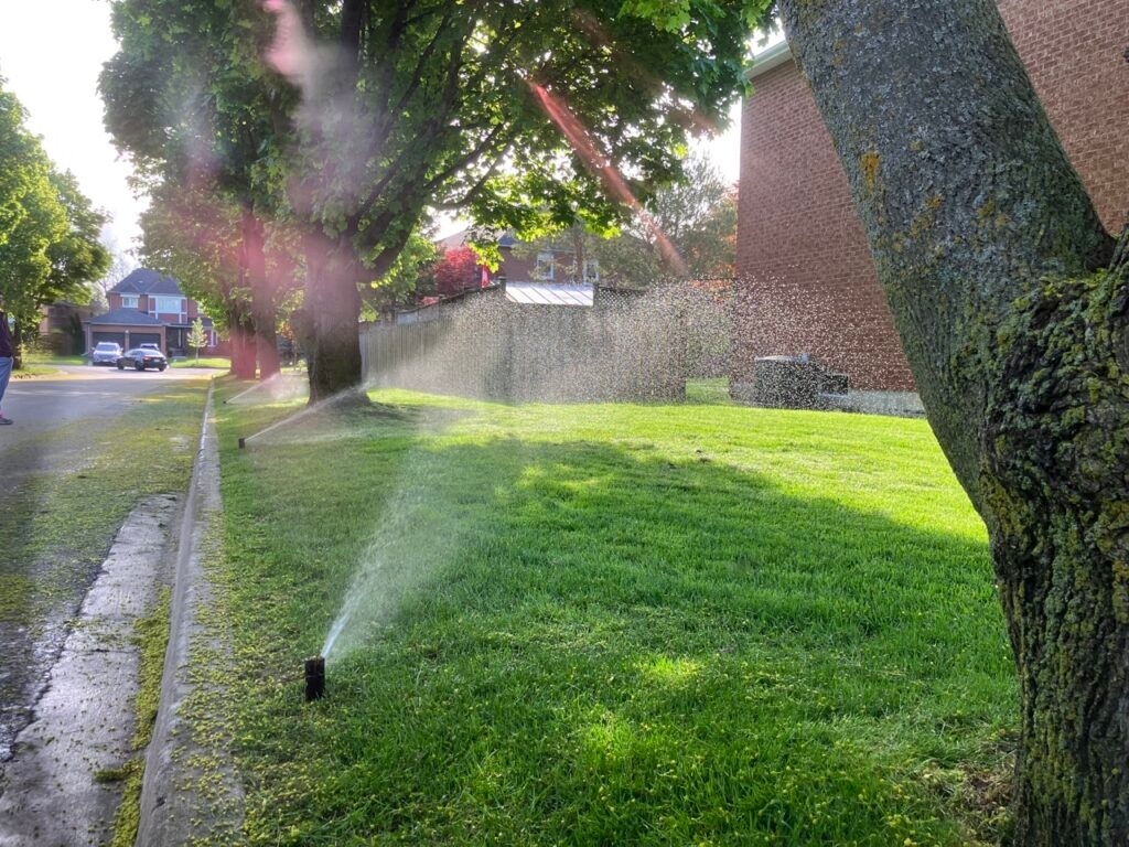 The Sprinkler Company Inc | Professional Sprinkler System Installation