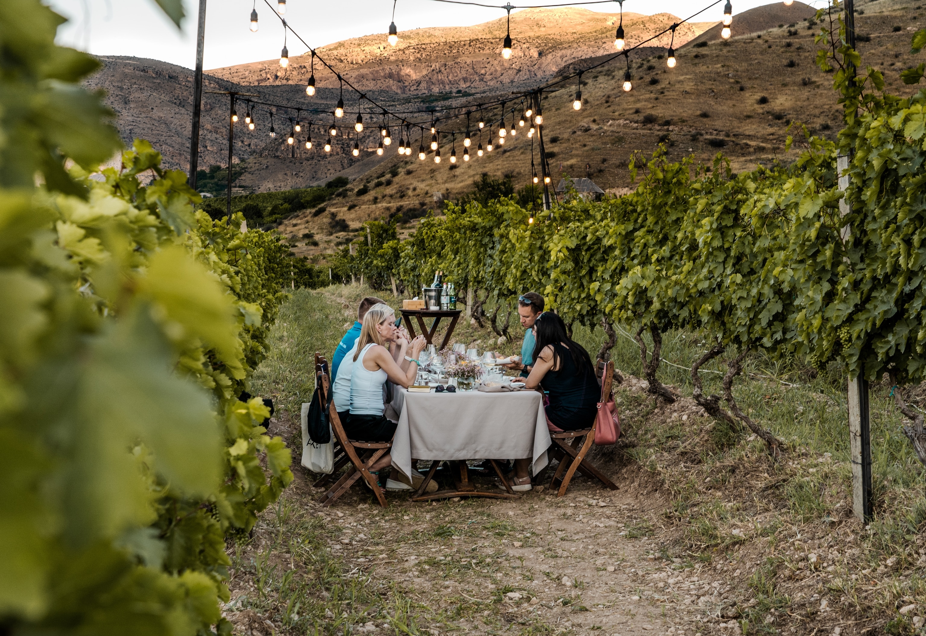 Enjoy Luxury Travel with a Langley Wine Tour Limo