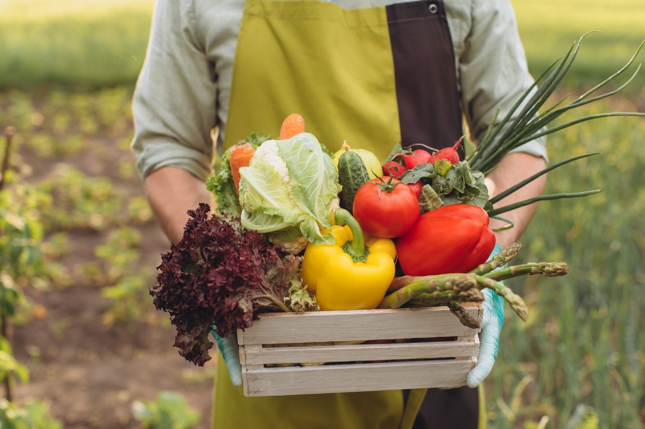 Mediterranean Diet Foods That Boost Brain Function