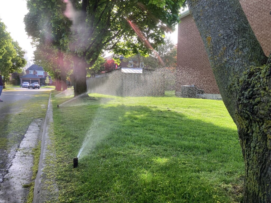 The Sprinkler Company Inc | Professional Sprinkler System Installation