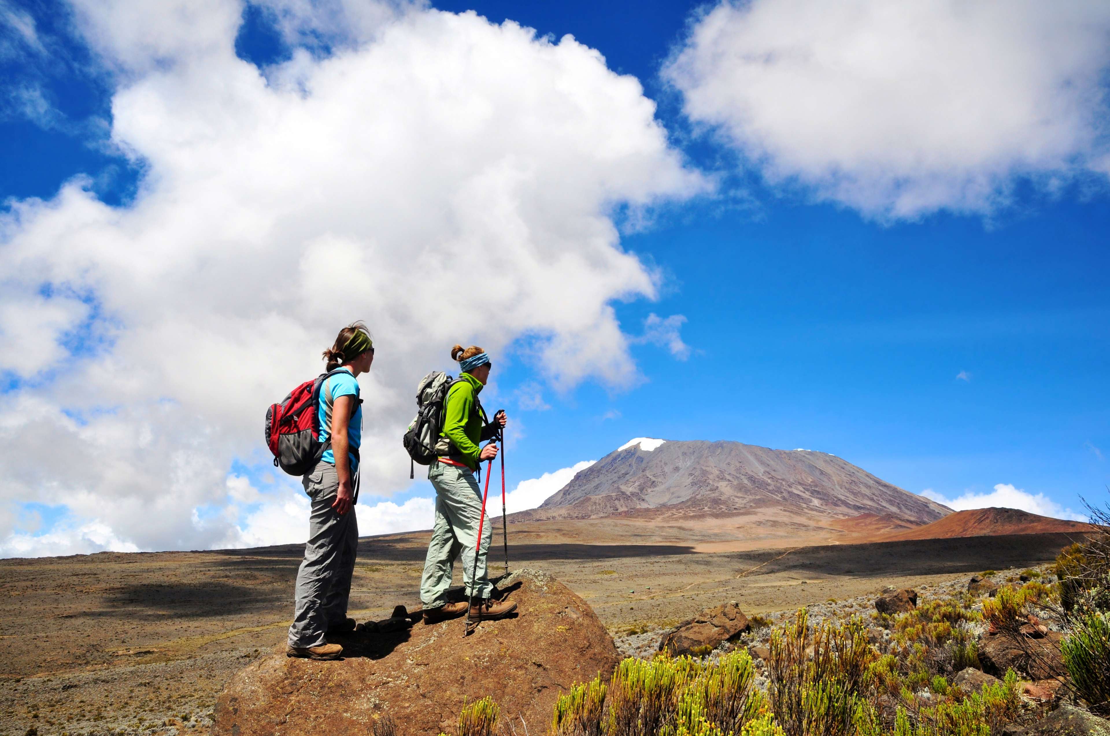 Kilimanjaro Trekking Experiences Crafted by Local Experts