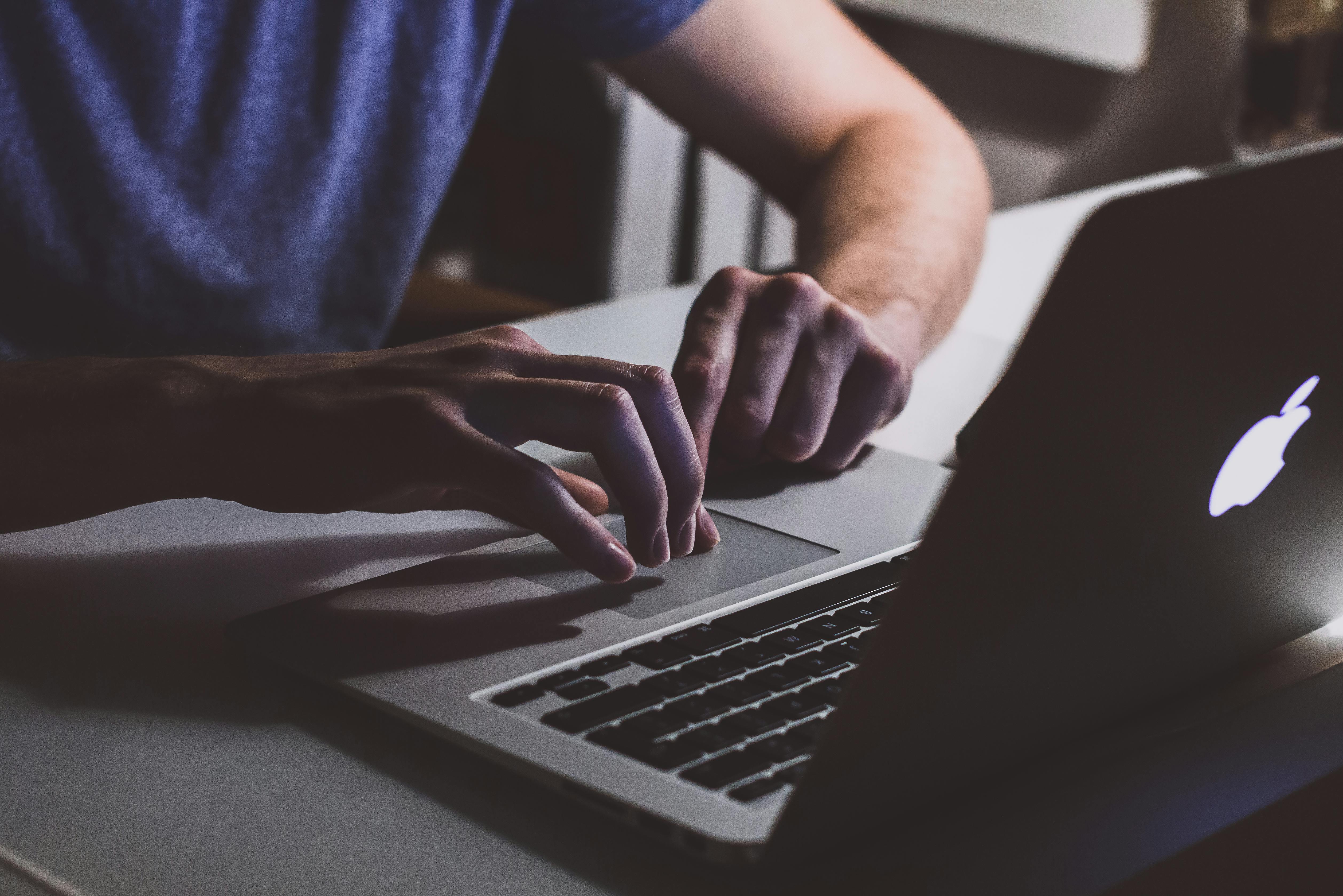 VexNex: Expert Solutions for Your WordPress Website Success