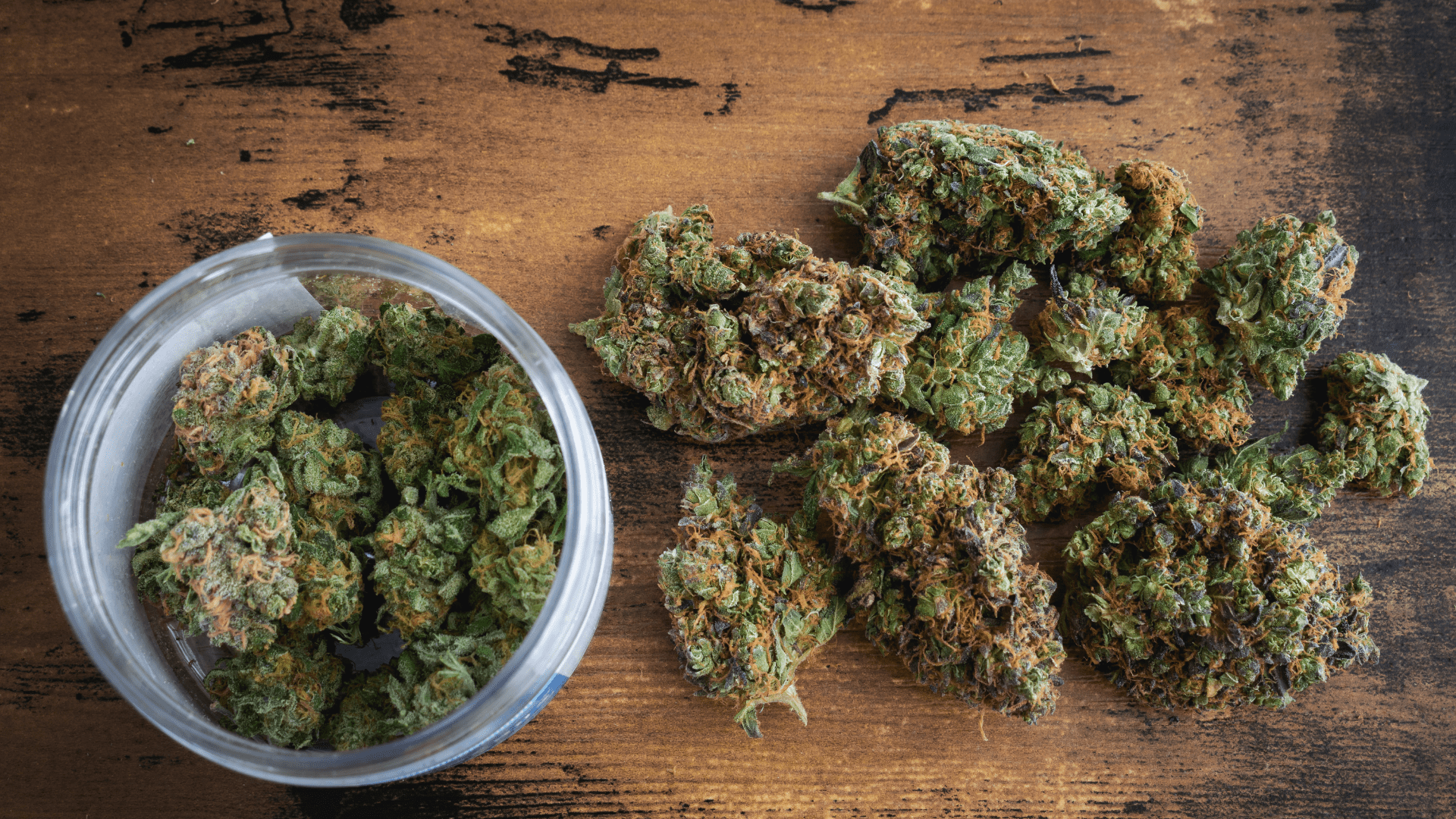 Bluetenbande – Gemeinsam für gutes Cannabis