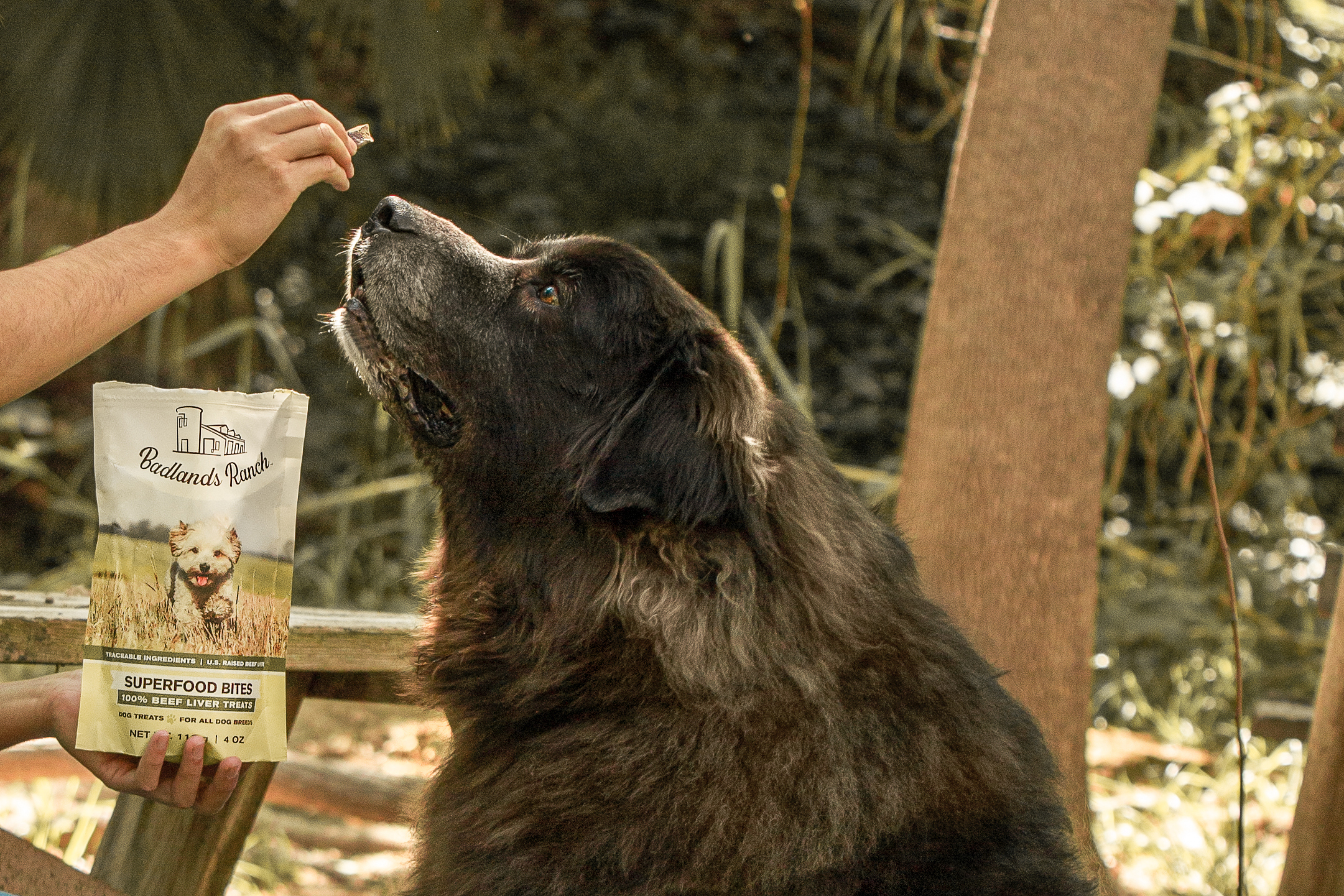 Badlands Ranch Dog Food: Air-Dried Superfood Nutrition Explained