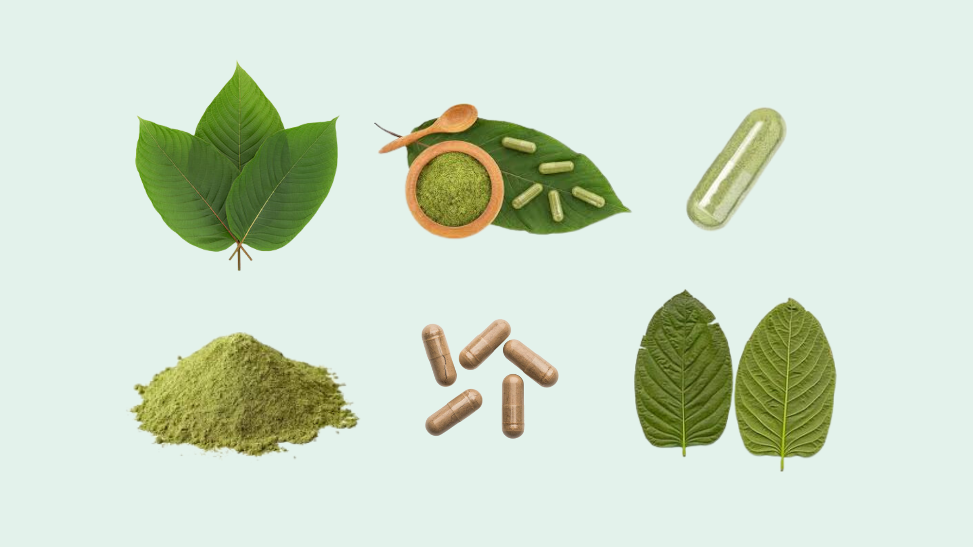 Experience Wellness with the Best Kratom Tea in Chiang Mai