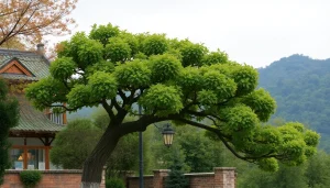 葉酸サプリが並ぶテーブル、健康的なライフスタイルを象徴する美しいディスプレイ。