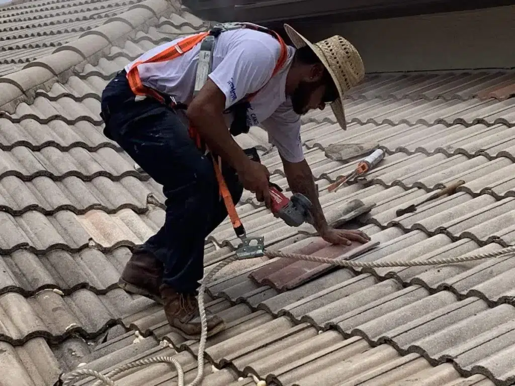 Reliable Roofing Services You Can Trust in Any Season